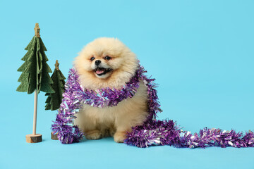 Cute Pomeranian dog with Christmas tinsel on blue background