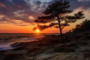 Fototapeta na wymiar Seaside Sunset with Silhouette of Pine Tree Against Dramatic Sky