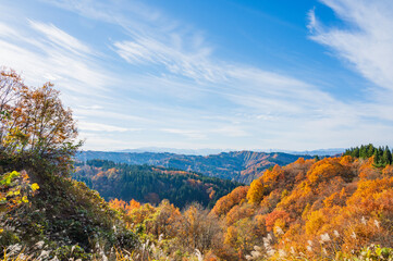 新潟　秋の里山（十日町市）