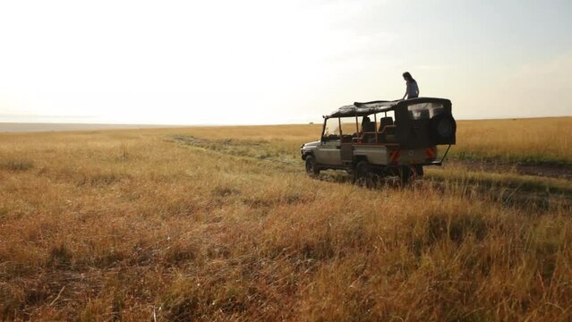Silhouette of woman standing in moving safari vehicle
