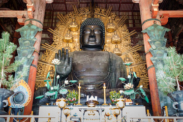 Big buddha enshrined in Daibutsuden Hall at Todaiji Temple, structure statue made of bronze copper and gold, landmark of  tourists and buddhists tourism in Yamato, Nara, Japan. world heritage unesco. - obrazy, fototapety, plakaty