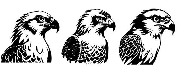 Diverse Osprey Silhouettes Set