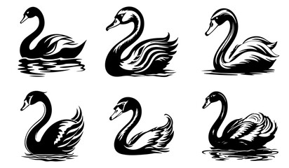 Set of swan silhouettes.
