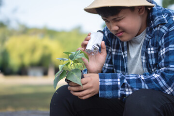 Asian boy using outdoor portable microscope to watch tiny patterns, creatures and living things in potted plants during learning various plant species for  science subject at school.
