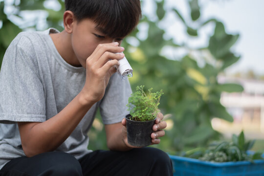 Asian boy using outdoor portable microscope to watch tiny patterns, creatures and living things in potted plants during learning various plant species for  science subject at school.
