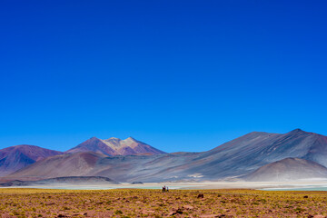 Naklejka premium Piedras Rojas também conhecida como Salar de Aguas Calientes ou Salar de Talar, Piedras Rojas é uma lagoa como poucas no mundo a 4.200 metros sobre o nível do mar.