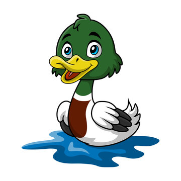 Cute duck cartoon on white background