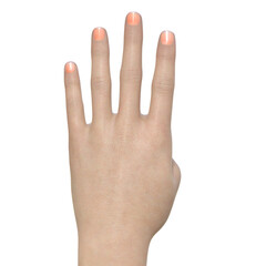パーツモデル  4本指を立てた女性の手の甲の3Dイラスト