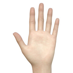 手のパーツモデル 大きく指を広げた女性の手のひらのイラスト リアルで立体的な3Dモデル 