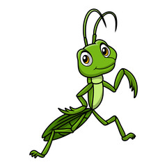 Cute mantis cartoon on white background