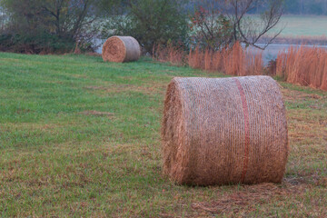 A close view of a round bale of hay on a field in the morning with copy space
