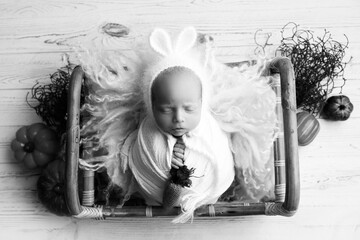 A tiny newborn boy in a white cocoon in a wooden basket against a light wood background. Bunny hat...
