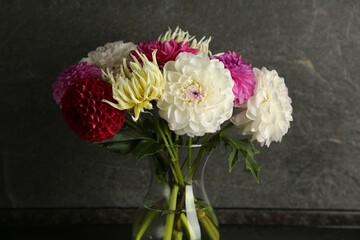 Bouquet of beautiful Dahlia flowers in vase near grey wall