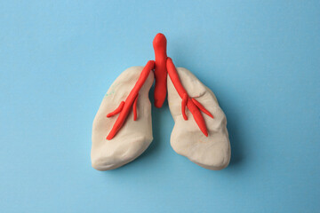 Human lungs made of plasticine on light blue background, top view