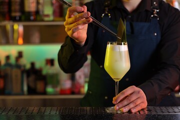 Bartender decorating fresh alcoholic cocktail with green leaves at bar counter, closeup