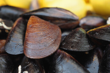 Fresh Black Shell Recipe With Lemon Turkish Food