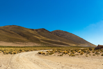 Dirt road in Bolivian desert landscape.