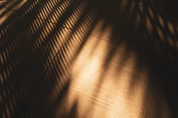 Fototapeten Abstract plant trees shadows on stone floor in warm sunlight. Autumnal soft focus background. Sunny day shadow on wall. Texture of a sunshine on cement floor. Interior, exterior details architecture. © vita