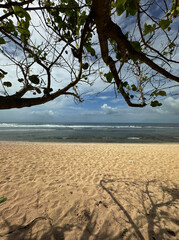 Beach Landscape Scenic View