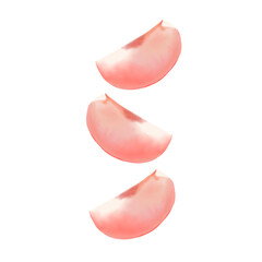 Sliced pink peaches hand draw and paint on white background png file for decoration and online advertising 
