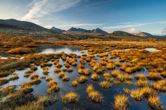 Autumn landscape in Rondane National Park, mountains Hogronden, Midtronden and Digerronden Doralen, Doralseter, Norway, Europe