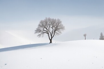 tree in snow