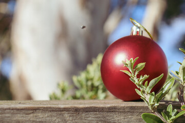 red christmas ball ornament in australian bushland