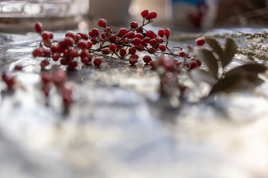 frutos rojos silvestres sobre mesa de trabajo 