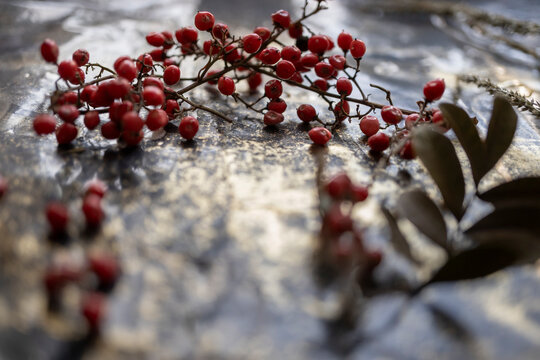 baya de frutos rojos silvestres sobre mesa de trabajo manchada
