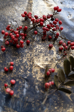 frutitos rojos secos silvestres sobre mesa de trabajo manchada de pigmento dorado decorativas