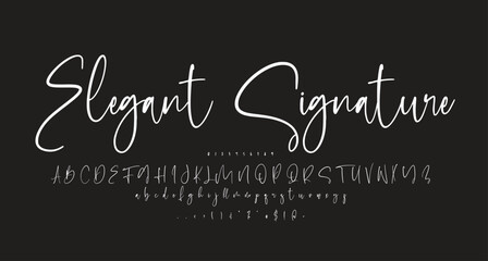  Elegant Signature font Best Alphabet Alphabet Brush Script Logotype Font lettering handwritten