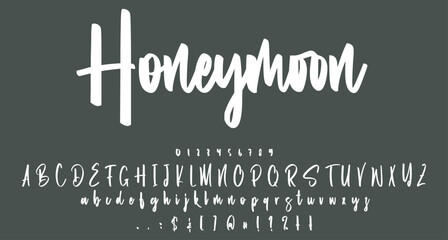 Naklejka premium Honeymoon script font Best Alphabet Alphabet Brush Script Logotype Font lettering handwritten