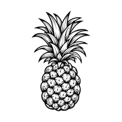 Pineapple, tropical fruit, vegetarian and vitamin food, sweet desert, nature and organic, healthy diet, vector illustration.