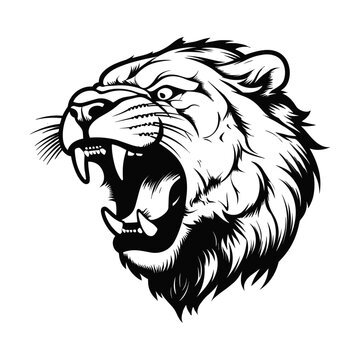 Head of angry roaring tiger, vector illustration.