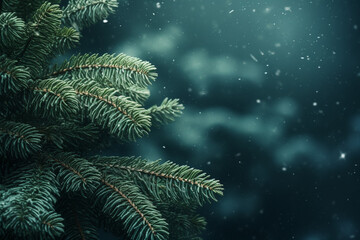 Fototapeta na wymiar Fir tree branches with light snowfall, blurred defocused winter Christmas holiday background, Close up, copy space