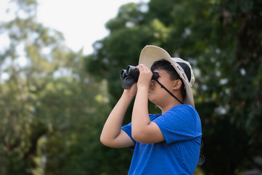 Asian boys holding binoculars and watching birds which fying on sky, insects, forest animals and living things which crawling and jumping on the branches and on the underside of trees in tropical park