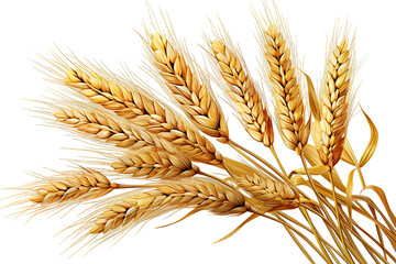 Ears of wheat close-up isolated on PNG Background. Generative Ai. - obrazy, fototapety, plakaty