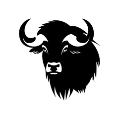 bison head isolated on white