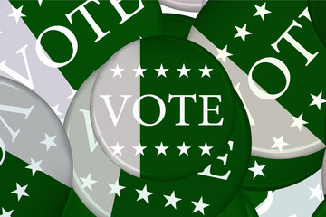 pakistan general elections 2024 compain vote badge.