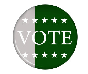 pakistan general elections 2024 compain vote badge.