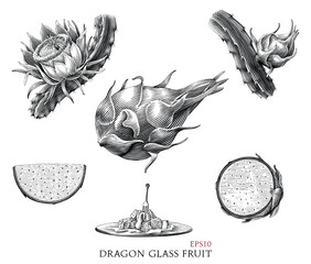 Dragon glass fruit hand drawing vintage style black and white clip art - 685968384