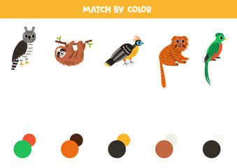 Match South American  and colors. Educational worksheet for kids. Cute cartoon harpy eagle, sloth, hoatzin, tamarin and quetzal. - obrazy, fototapety, plakaty