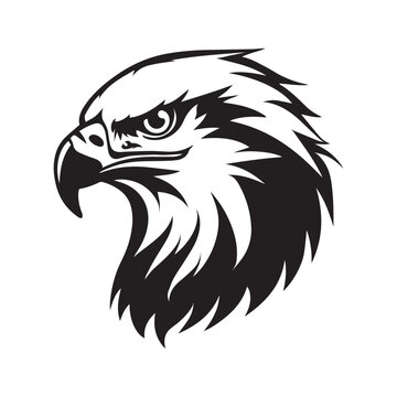 Eagle Face Vector illustration