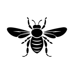 bee on white background