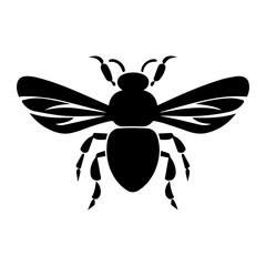 bee on white background