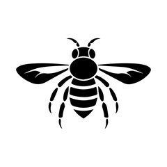 bee on white background