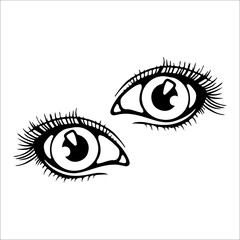 vector illustration of two detailed female eyes