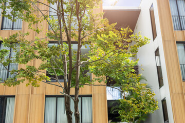 Green eco building saving energy apartment environmental friendly living resedence in modern city.