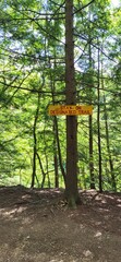 trees in the woods with caution sign