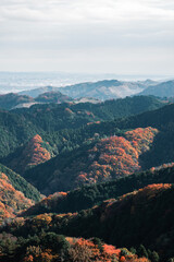秋の山